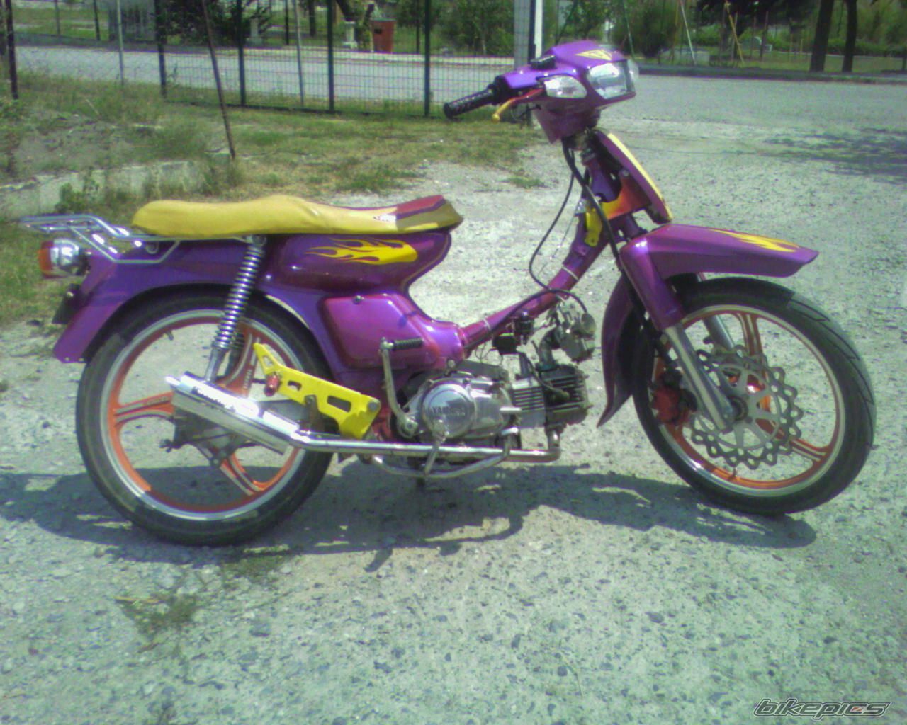 Photo 1181456