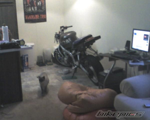 Bike Photo 1184194