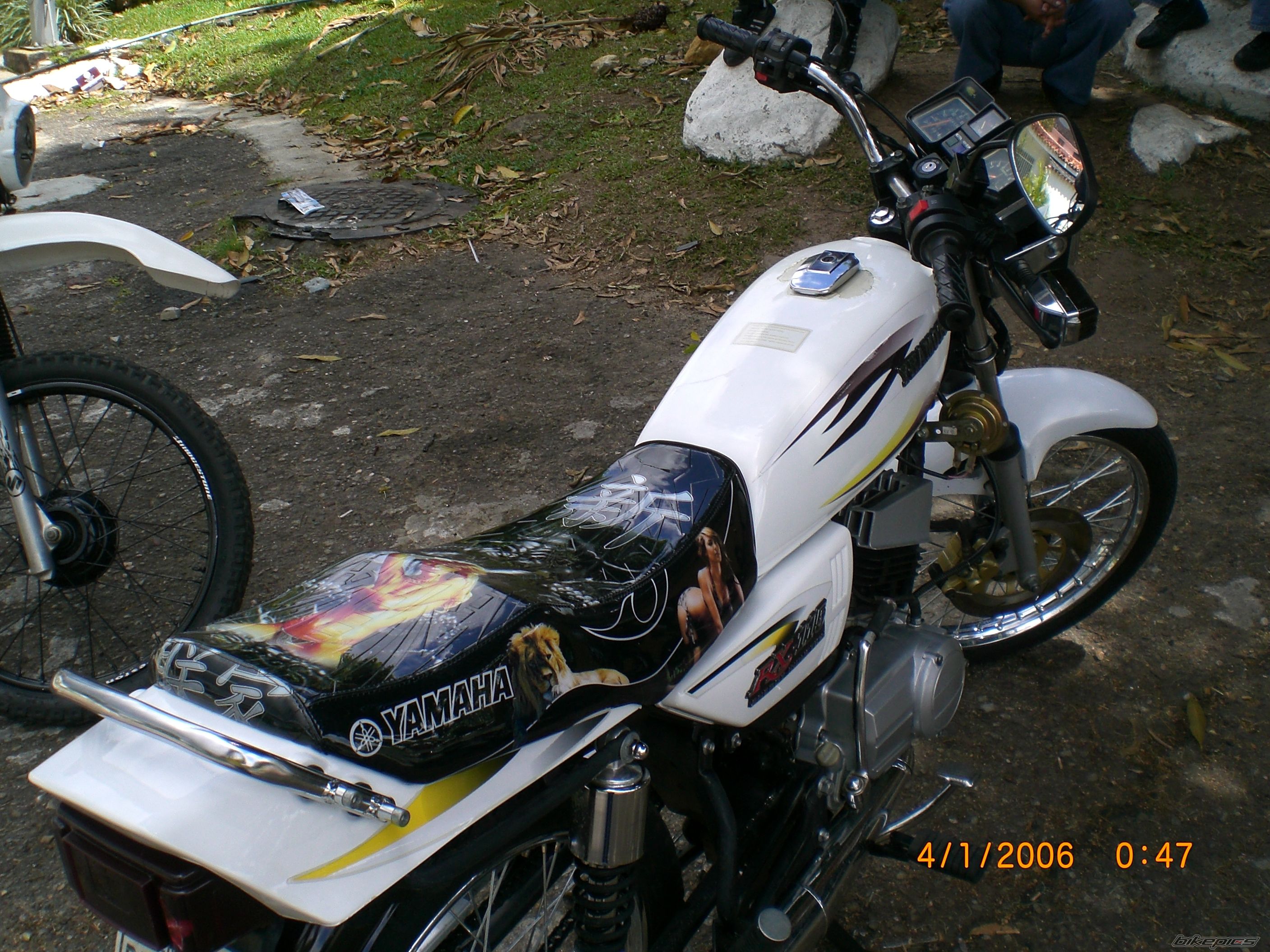 Photo 1185415