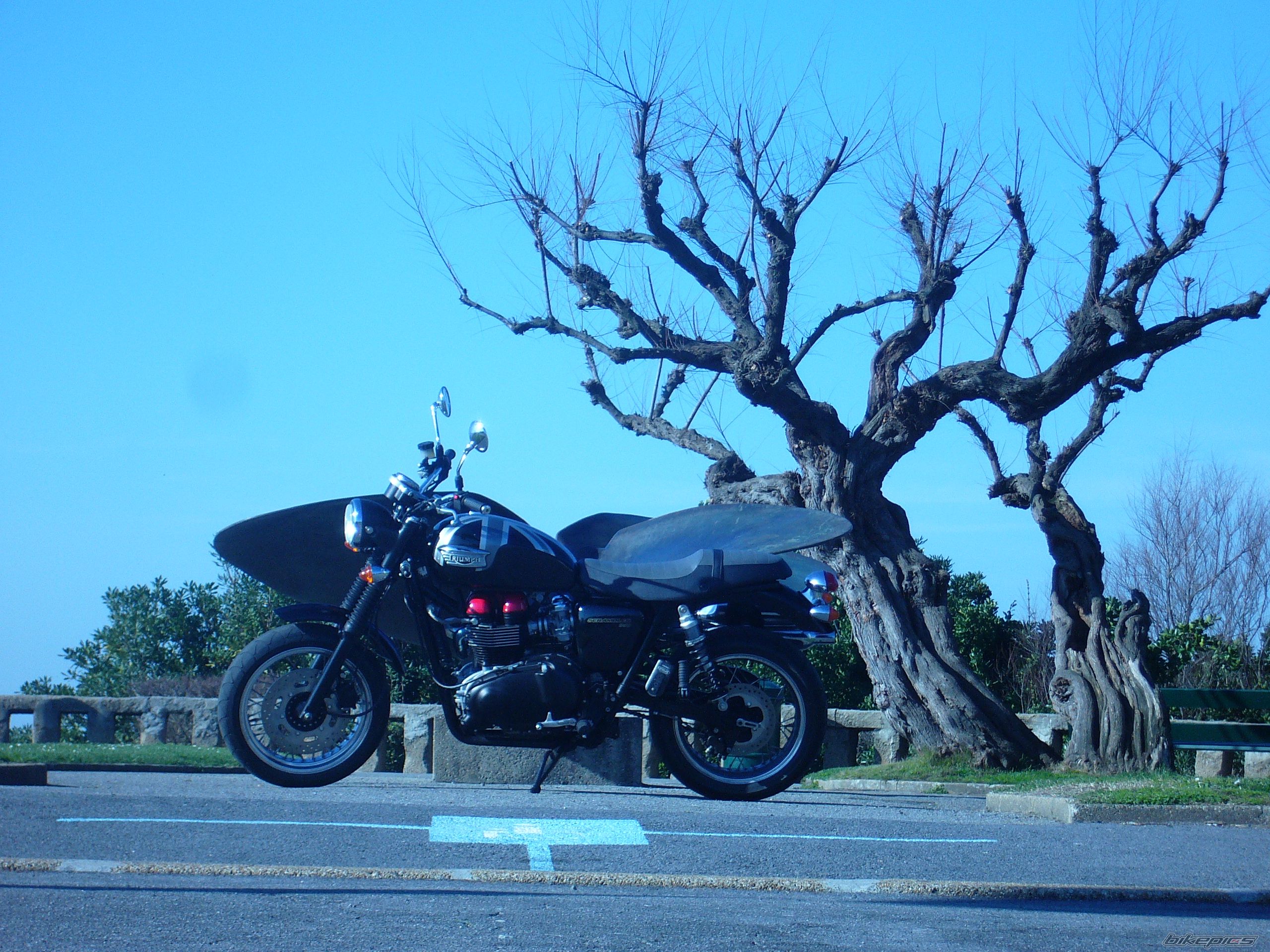 Bike Photo 1187229