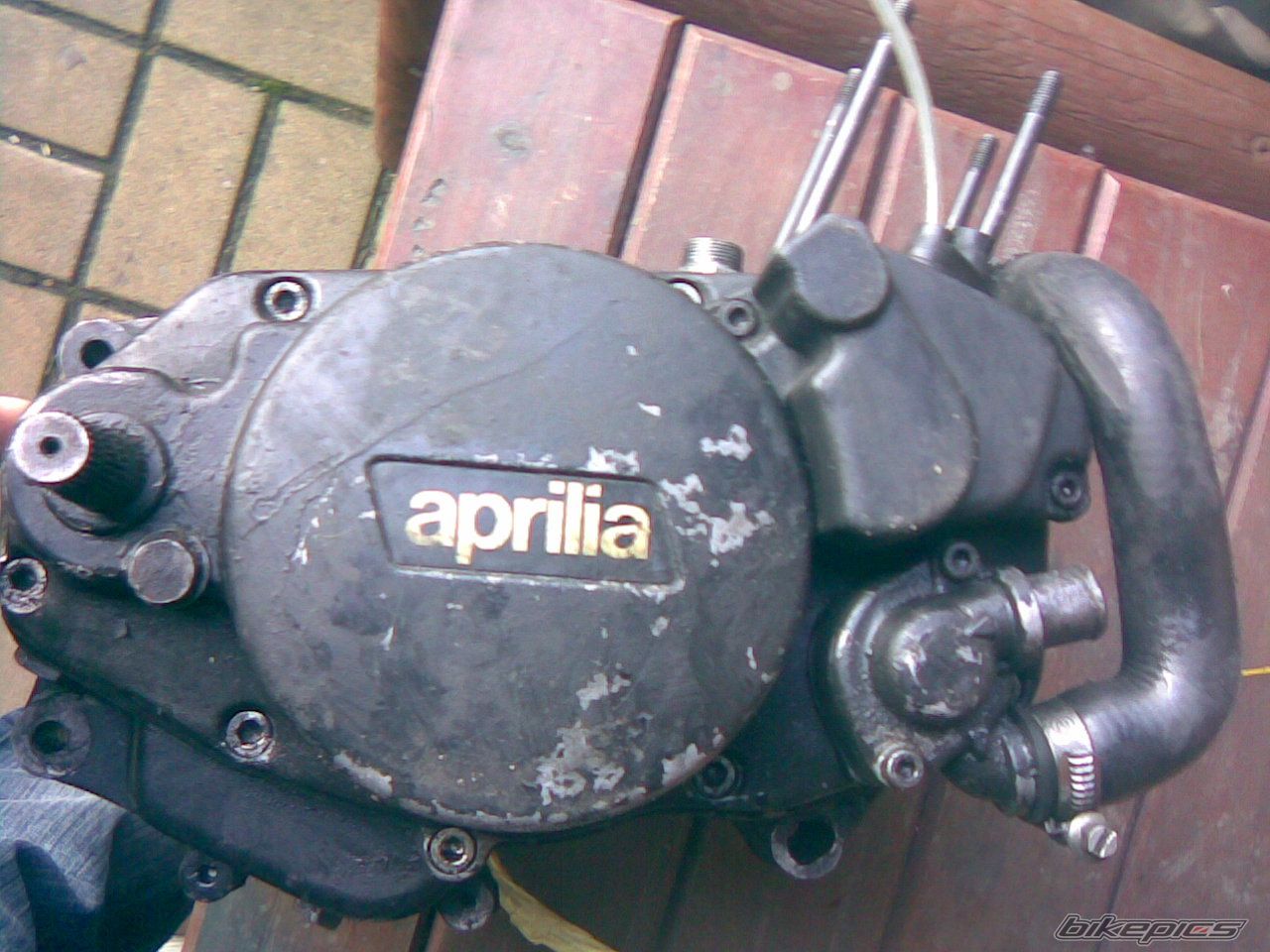 Bike Photo 1190440
