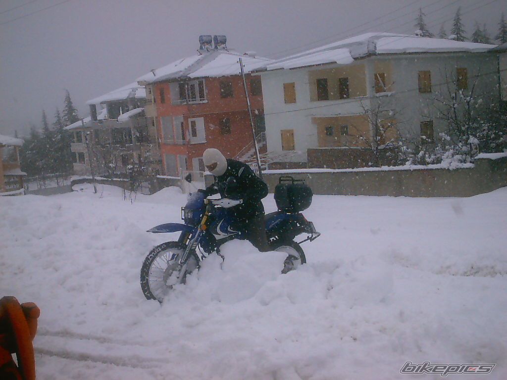 Photo 1191151
