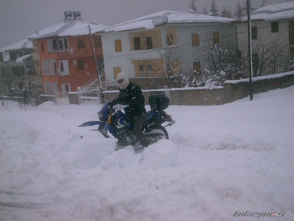 Photo 1191168