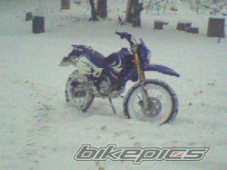 Photo 1191444