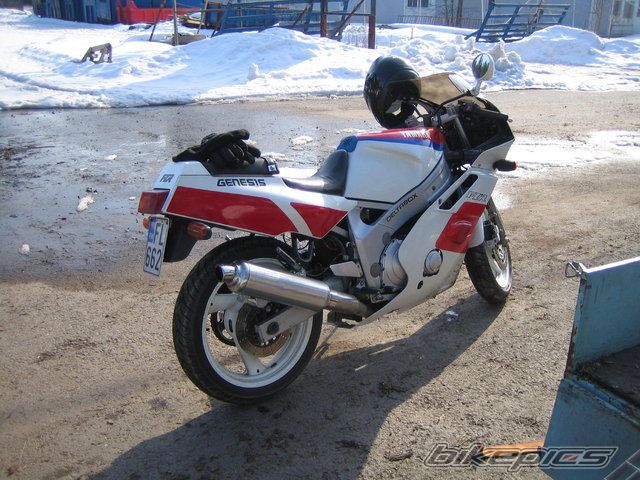 Photo 1191844