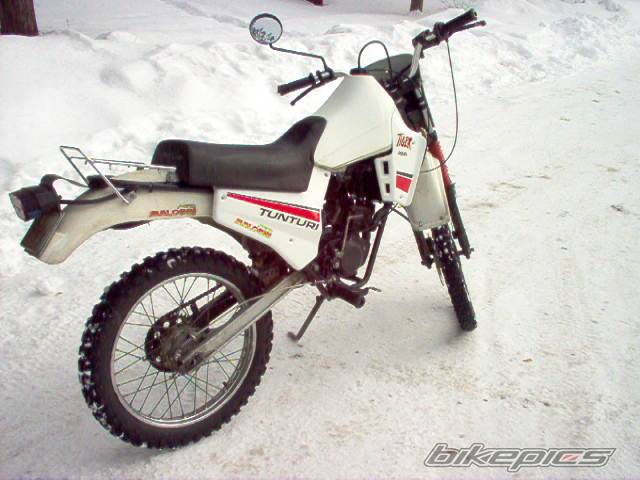 Photo 119260