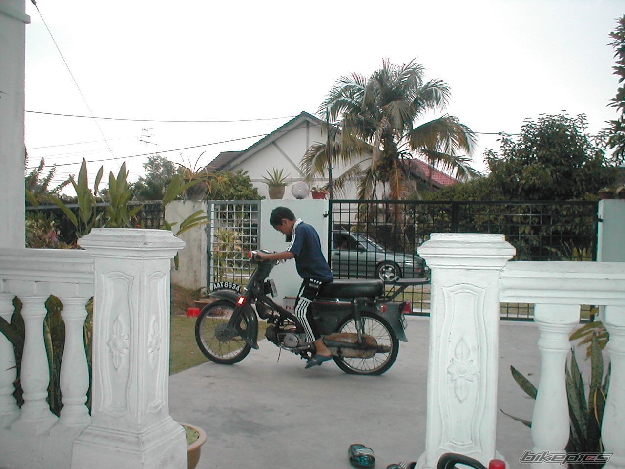 Photo 1197191