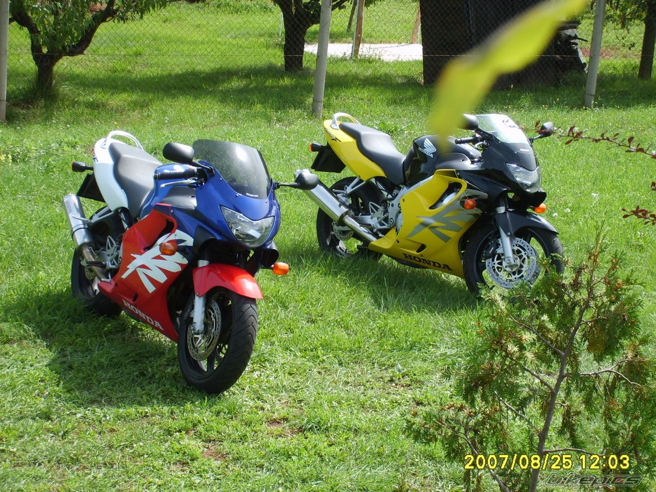 Bike Photo 1199844