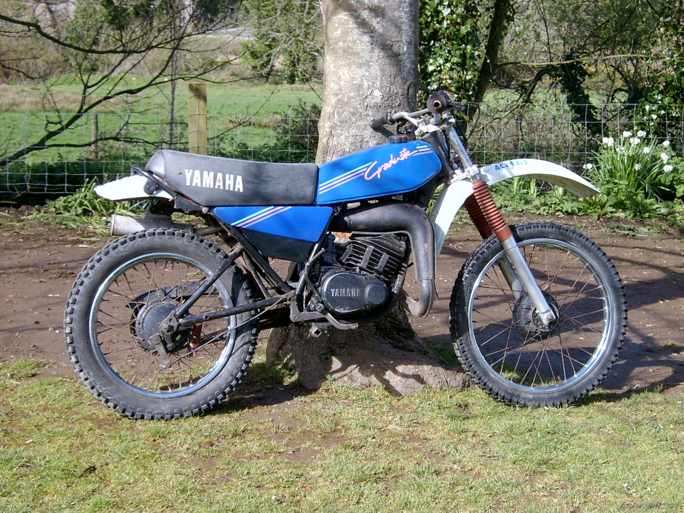 Bike Photo 1201650