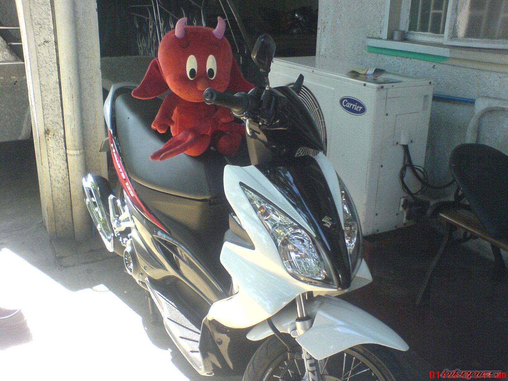 Photo 1202855