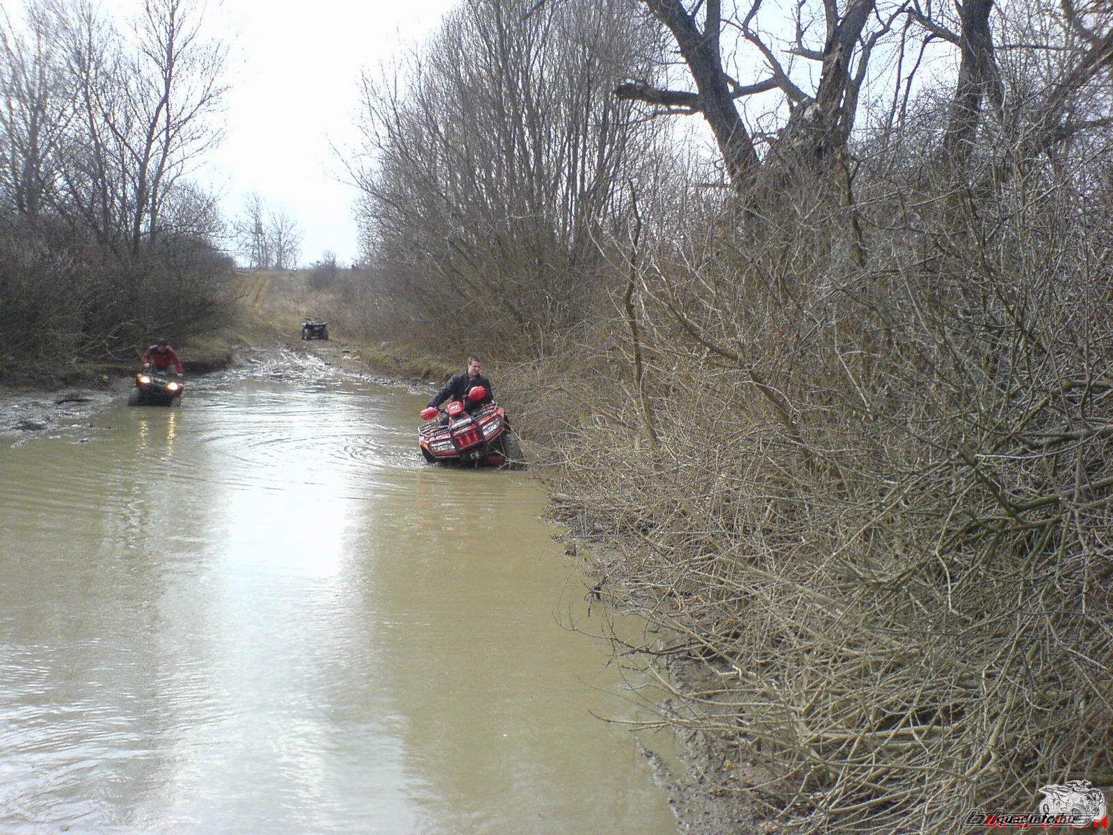 Photo 1203365