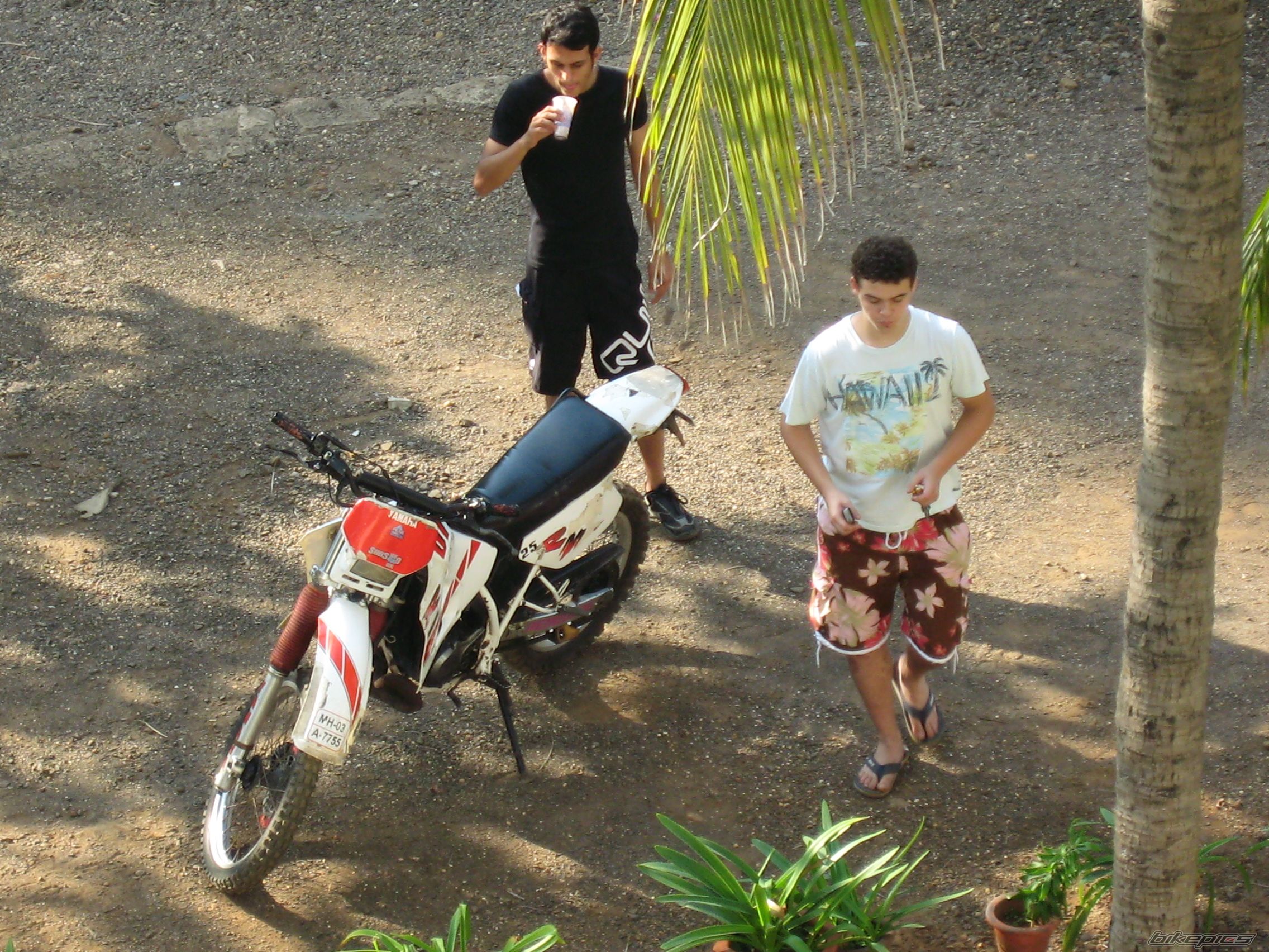 Bike Photo 1203407