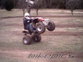 Photo 120473