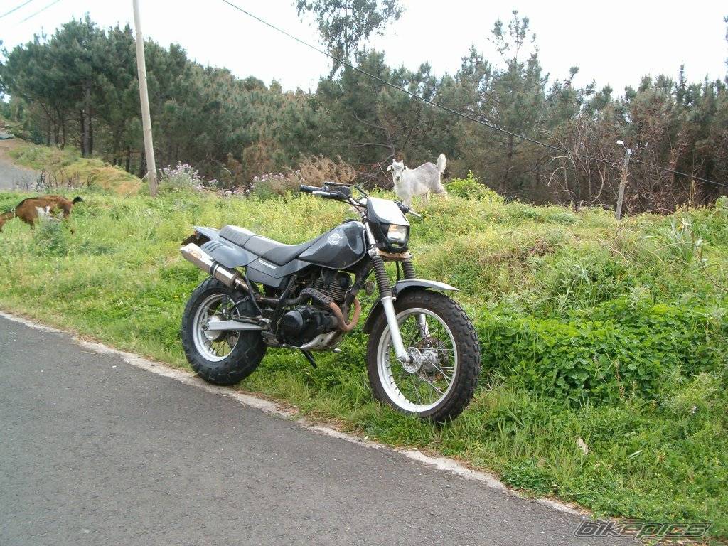 Bike Photo 120544