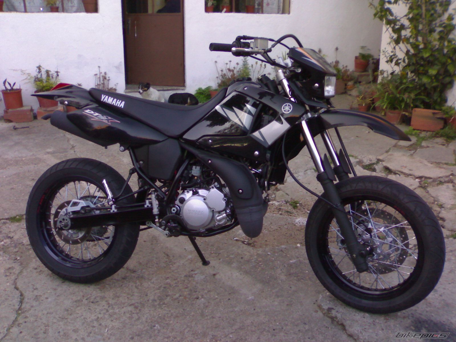 Photo 1207444