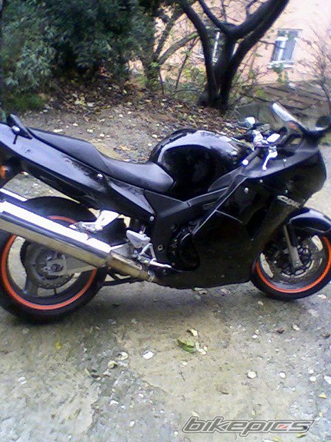 Photo 1207660