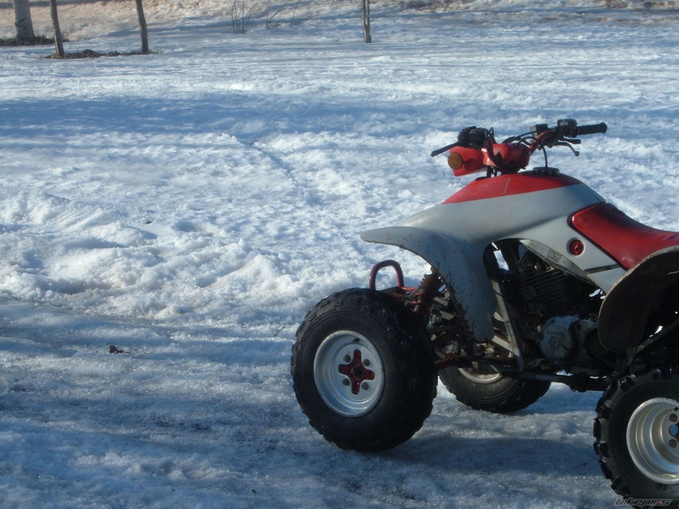 Photo 1209963