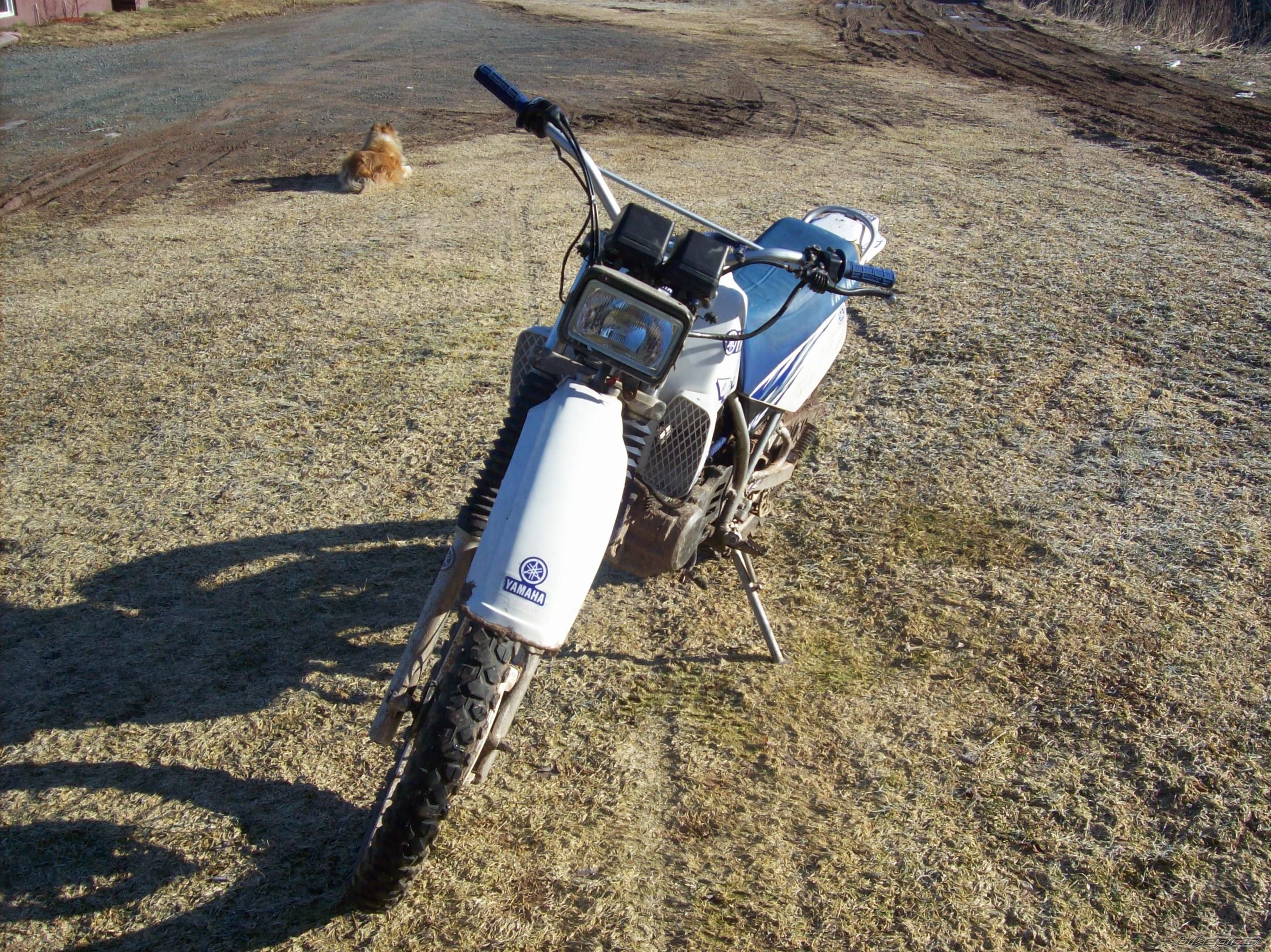 Photo 1213847
