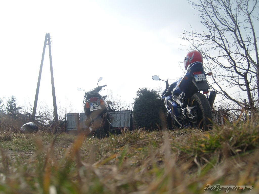 Photo 1215473