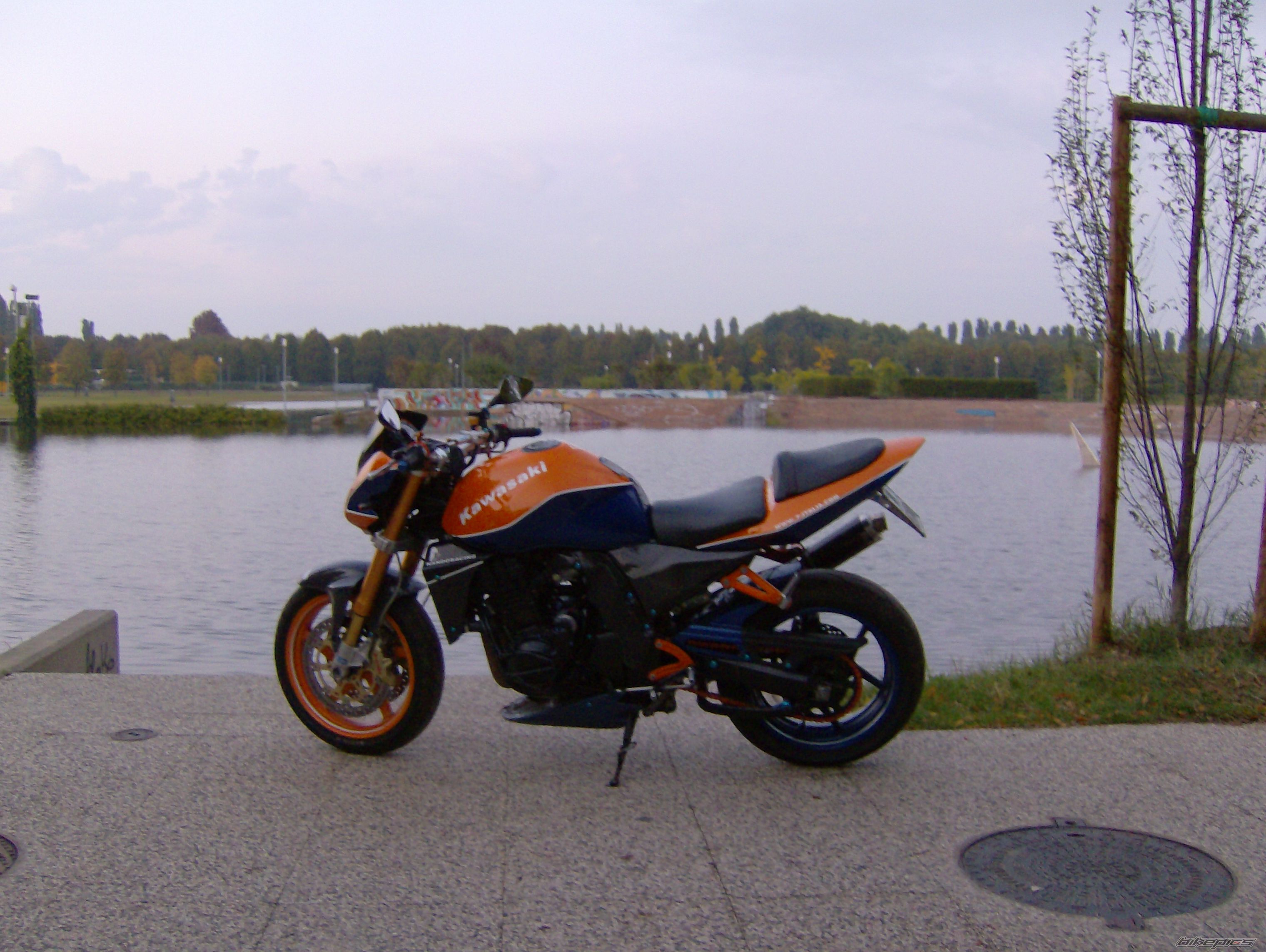 Photo 1216662