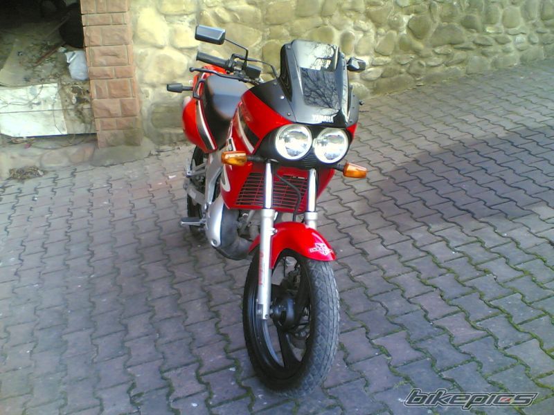 Photo 1216808