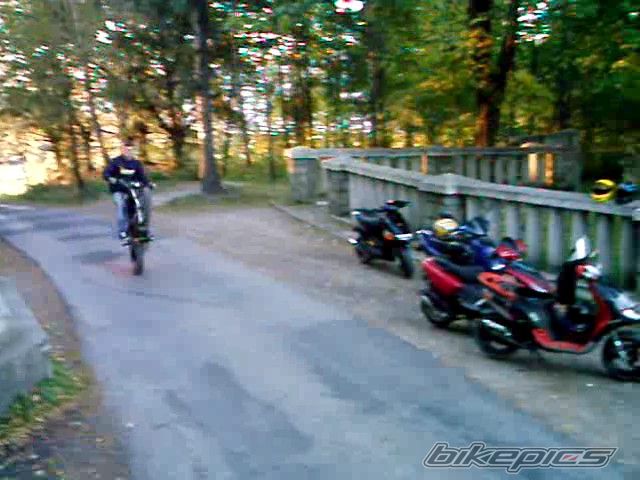 Photo 1217208