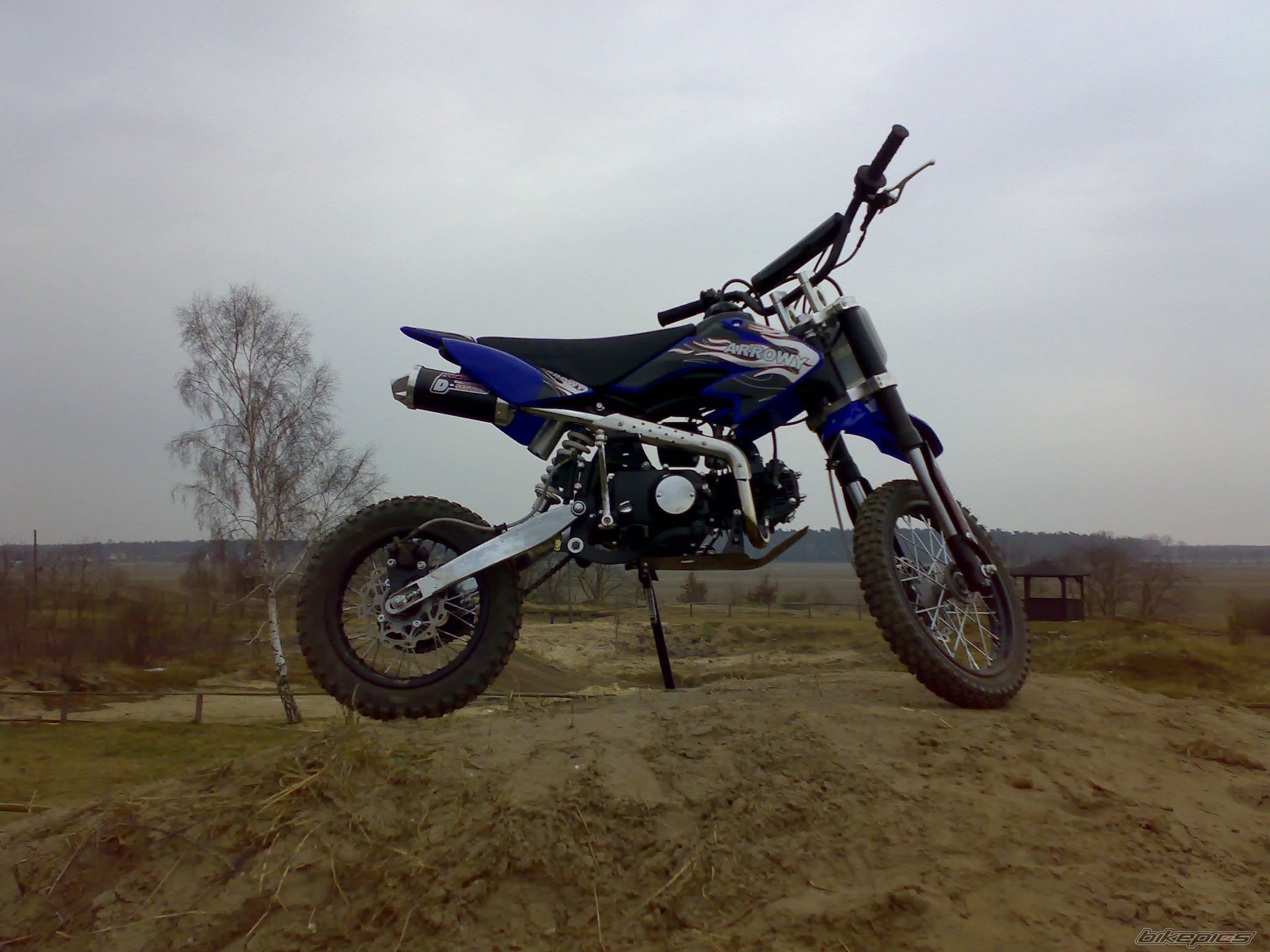 Photo 1219119