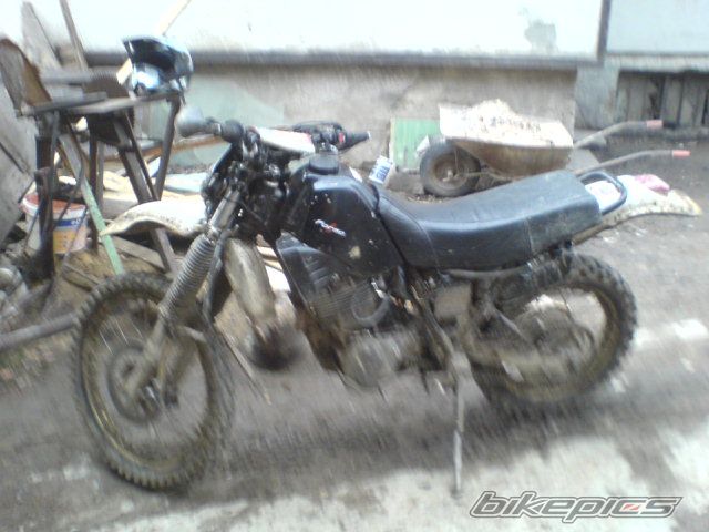 Photo 1219509