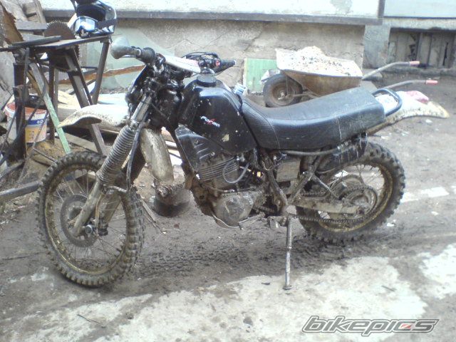 Photo 1219510