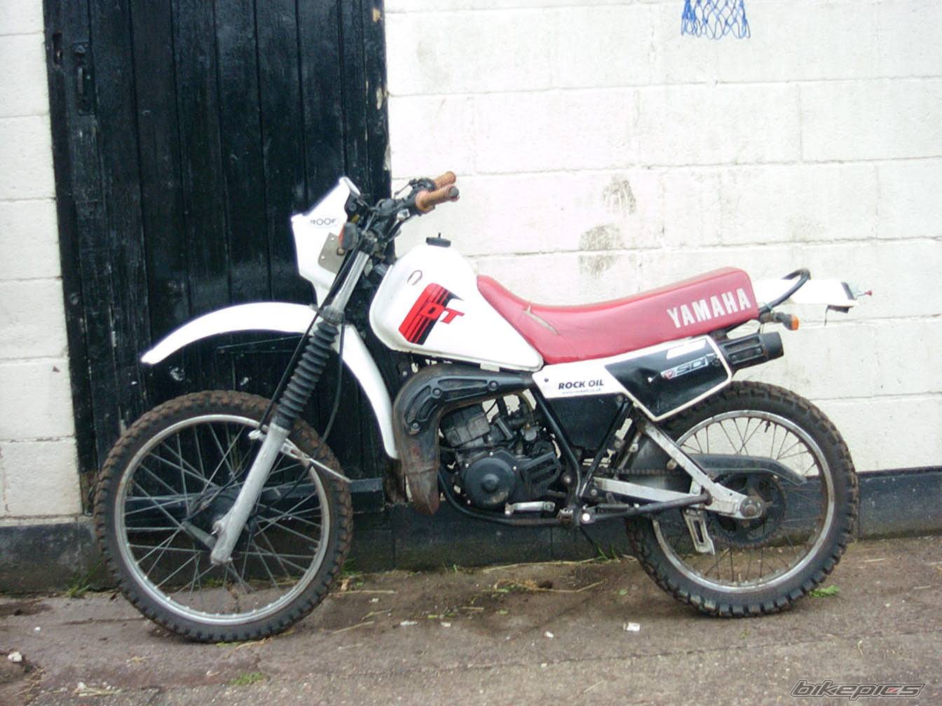 Photo 122065