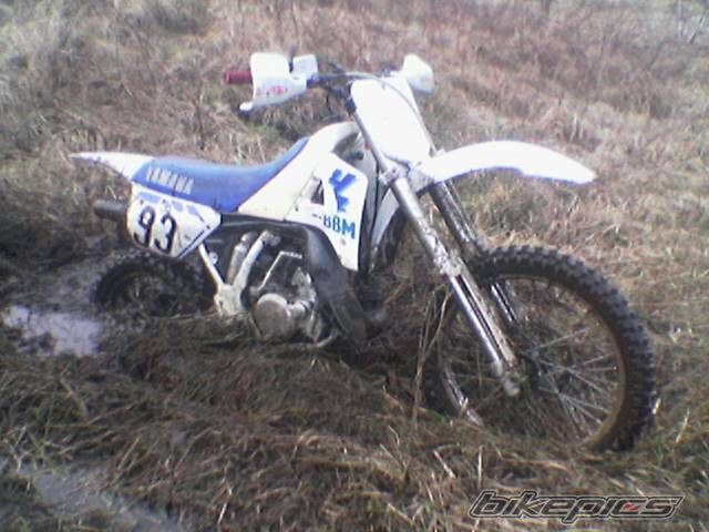 Photo 1223690