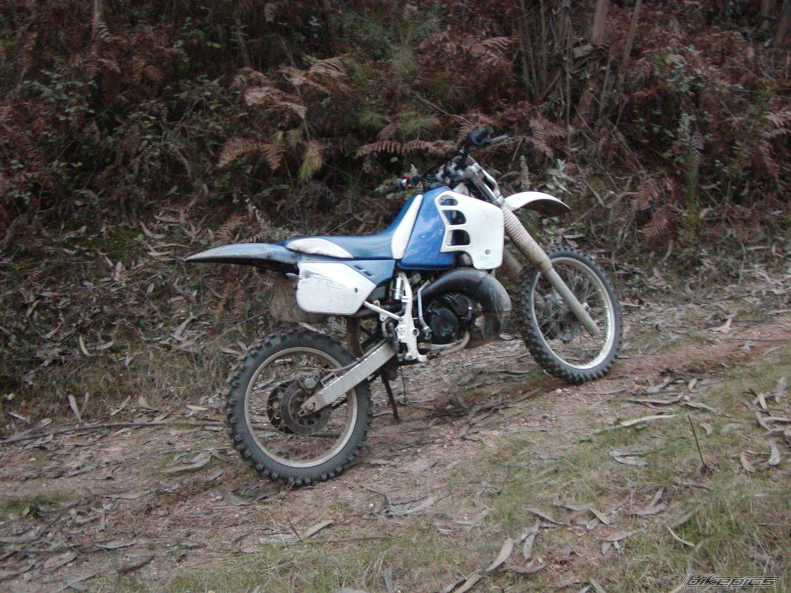 Photo 1227405