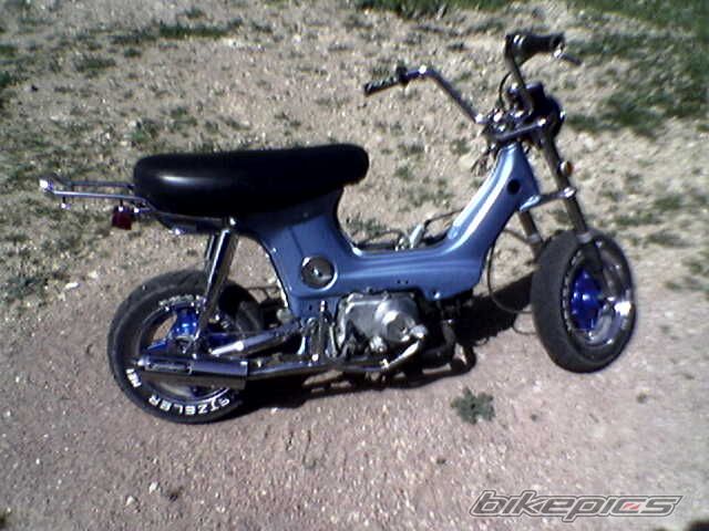 Photo 1227442