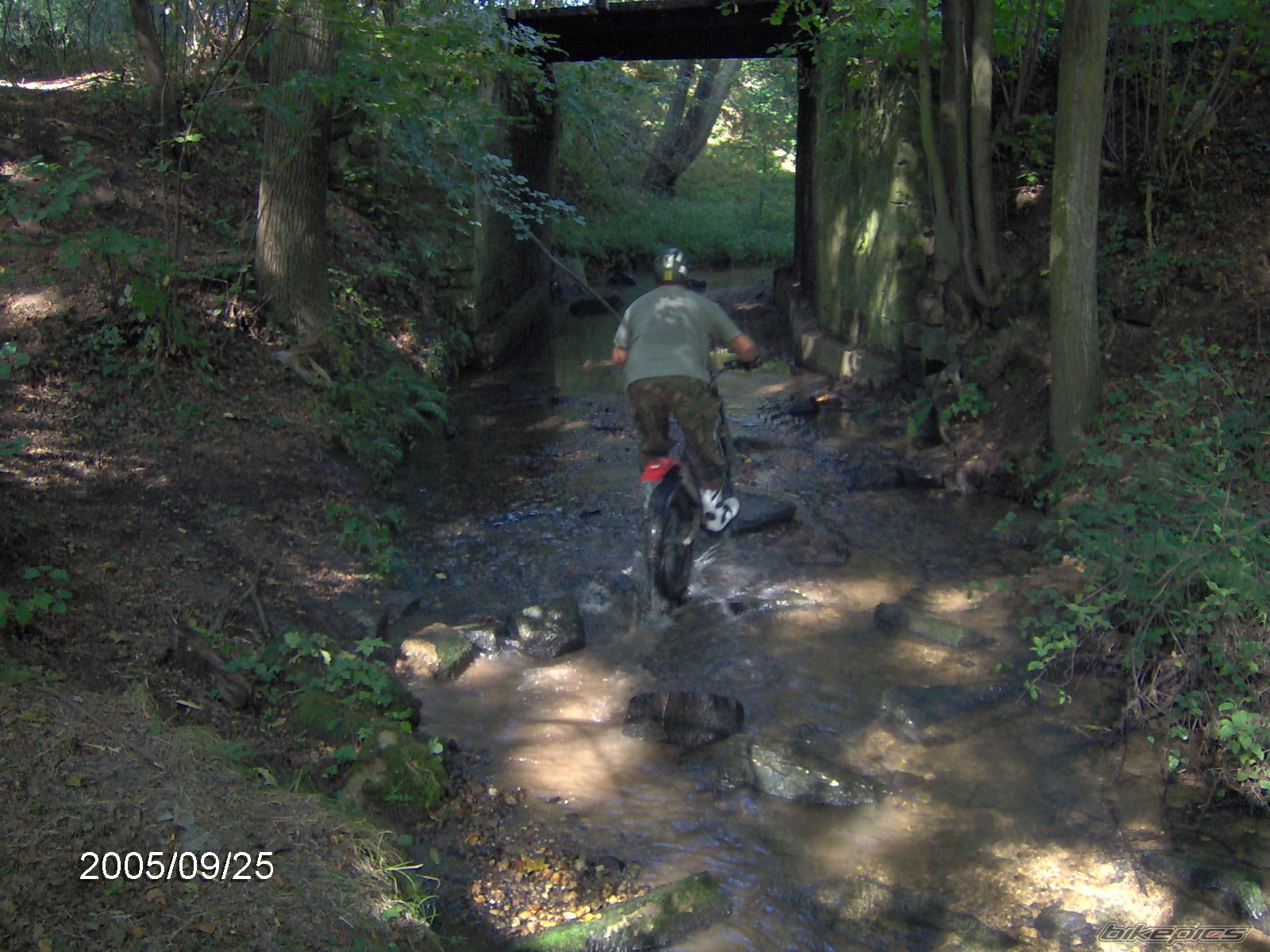 Photo 1228858