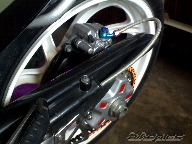 Photo 1229610