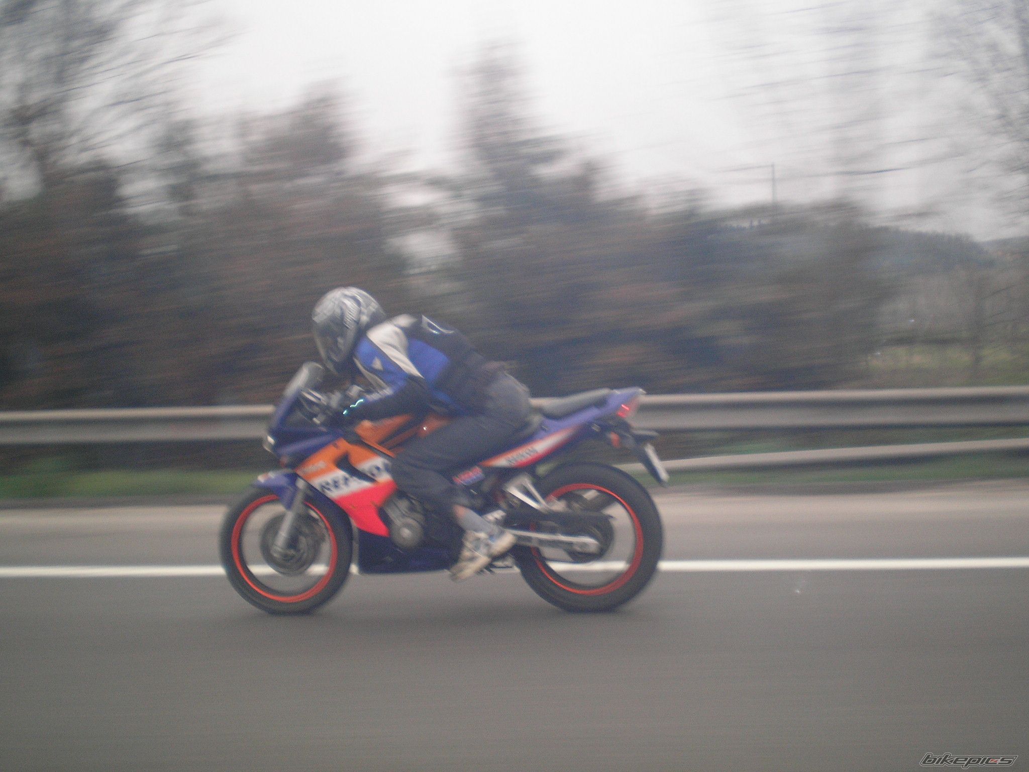 Photo 1231187