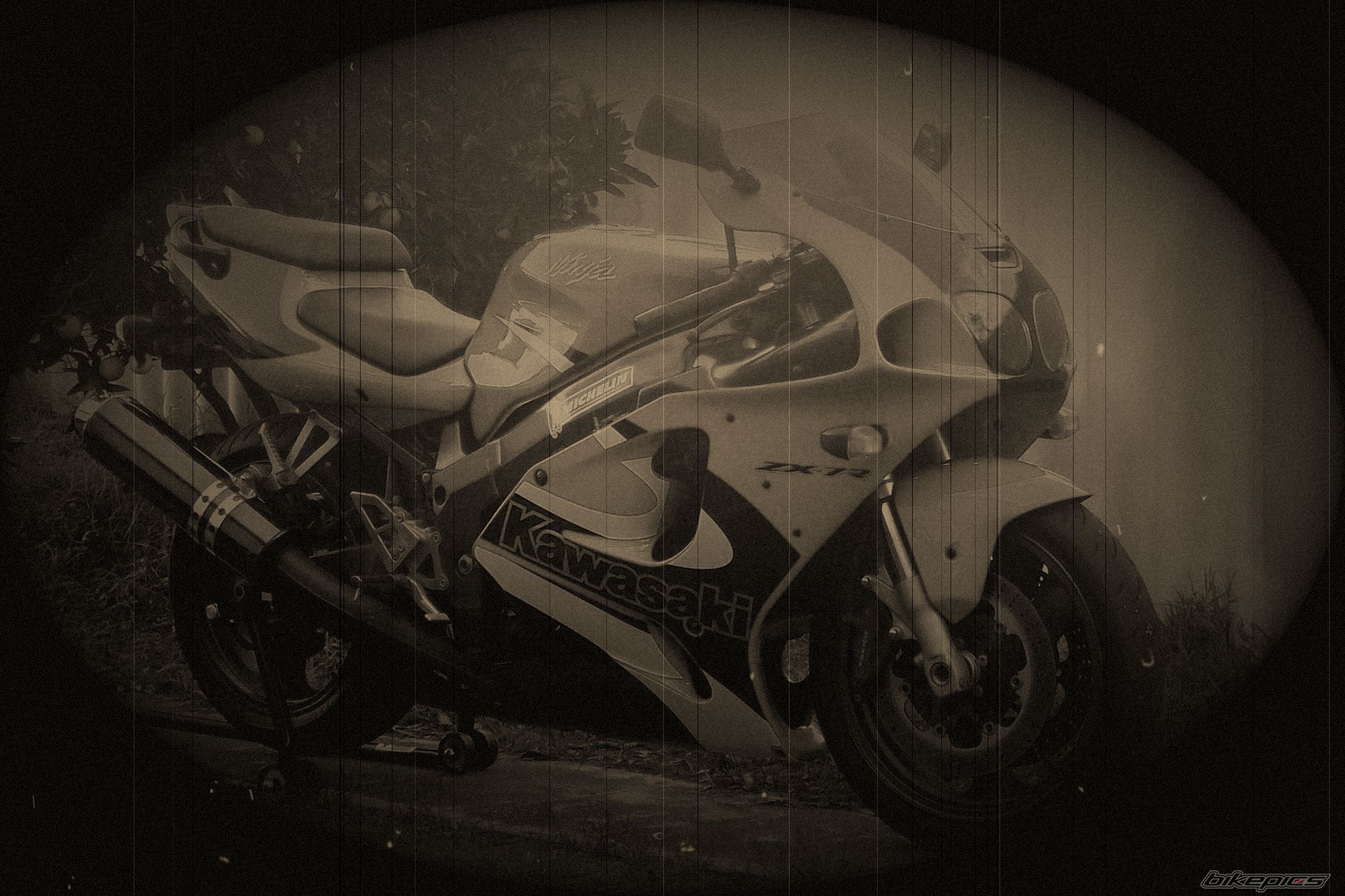 Photo 1233588