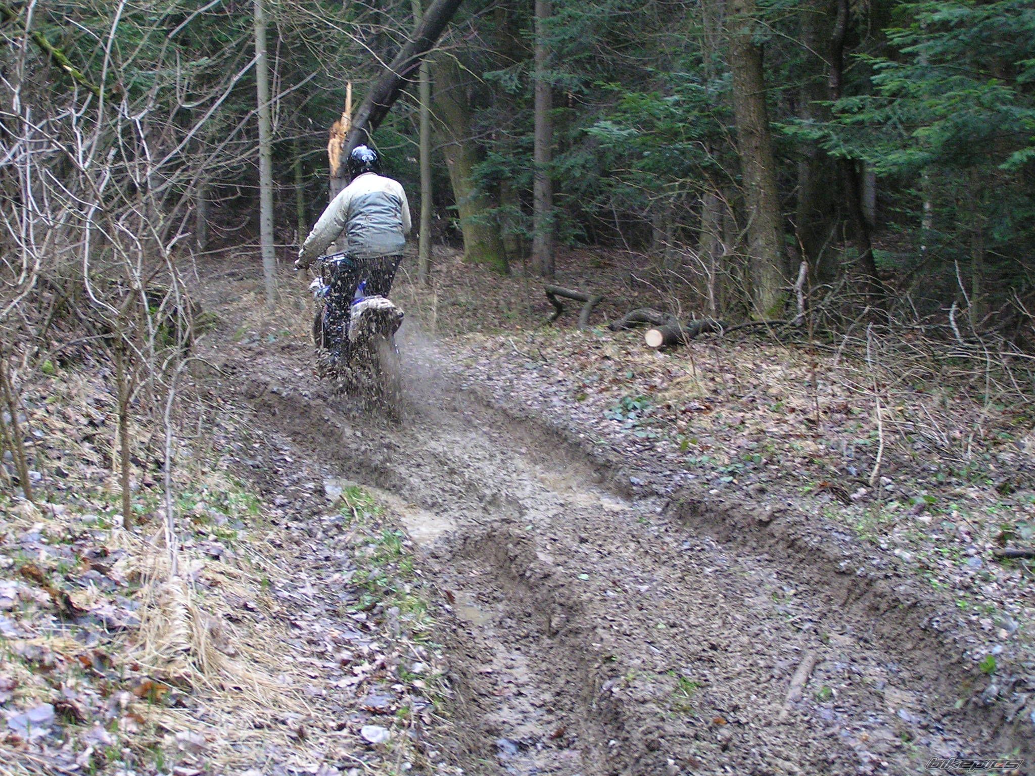 Bike Photo 1233615