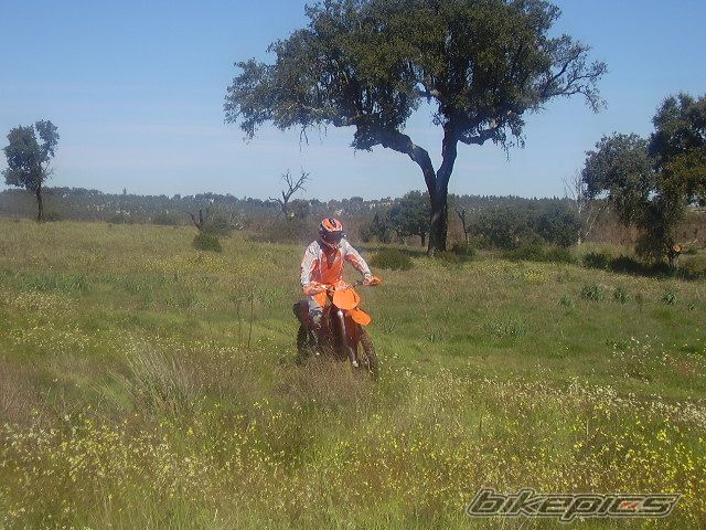 Bike Photo 1235261