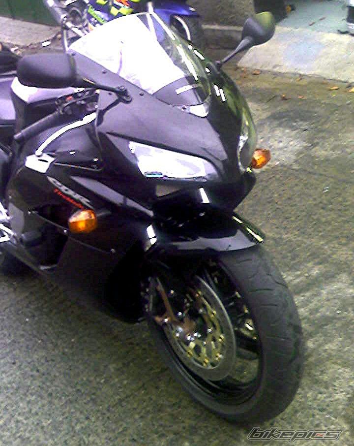 Photo 1237210