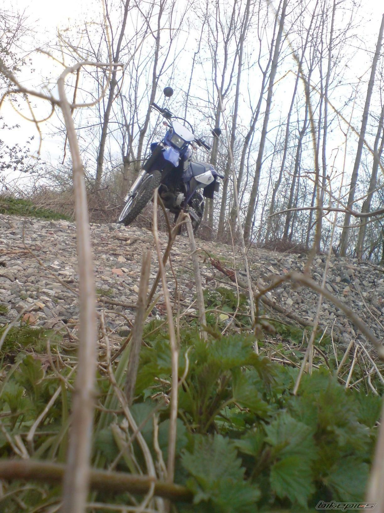 Bike Photo 1237952