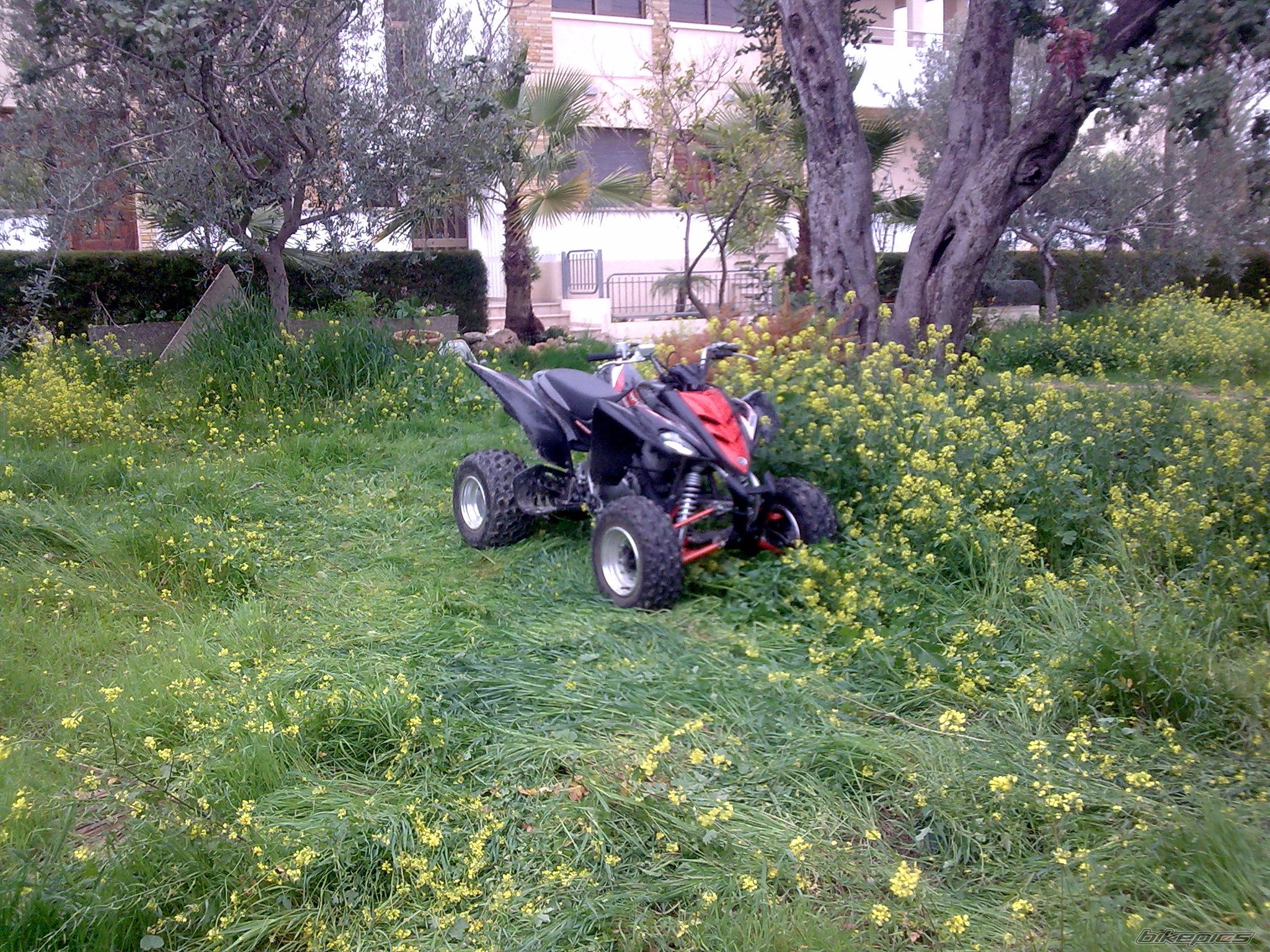 Photo 1240101