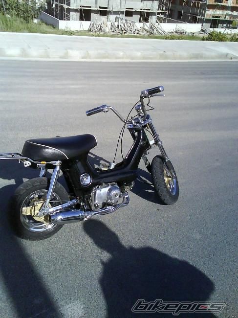 Photo 1240898