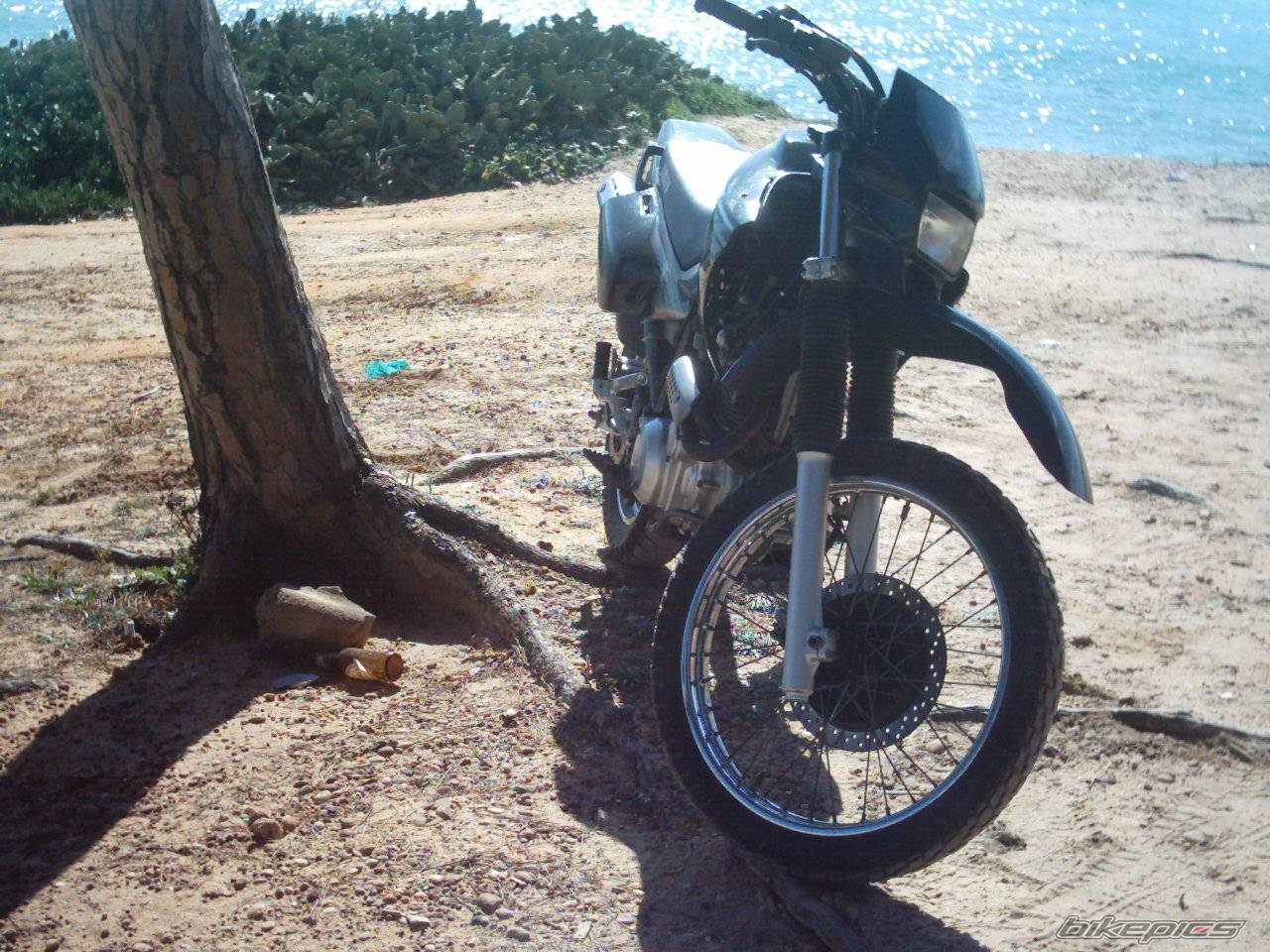Photo 124265