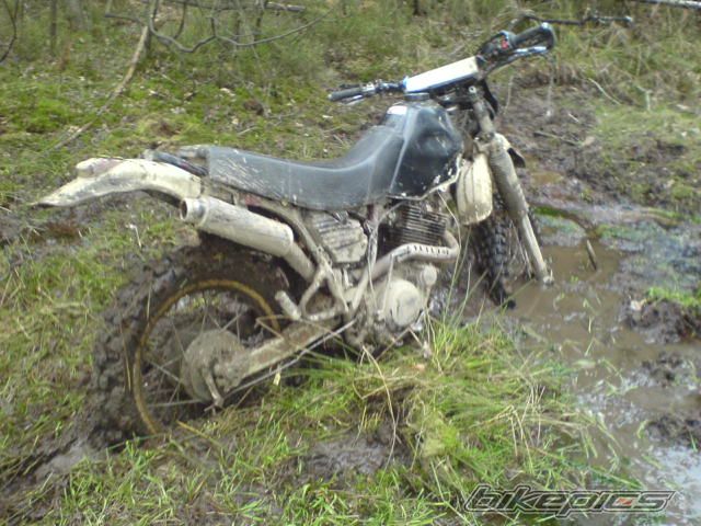 Photo 1246031