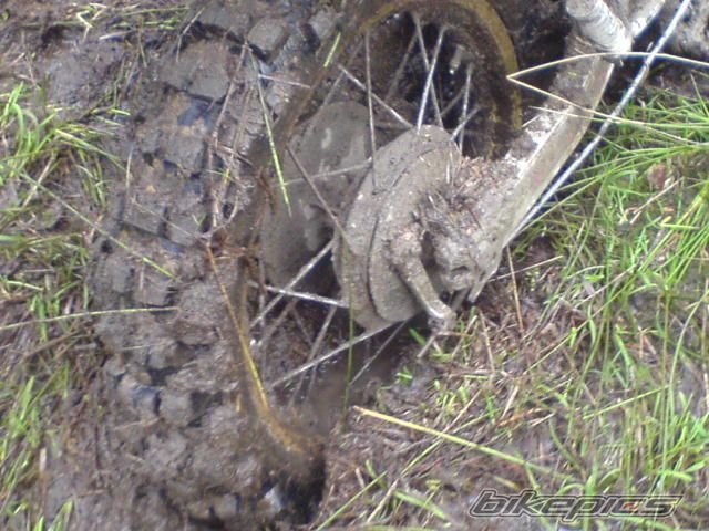 Photo 1246034