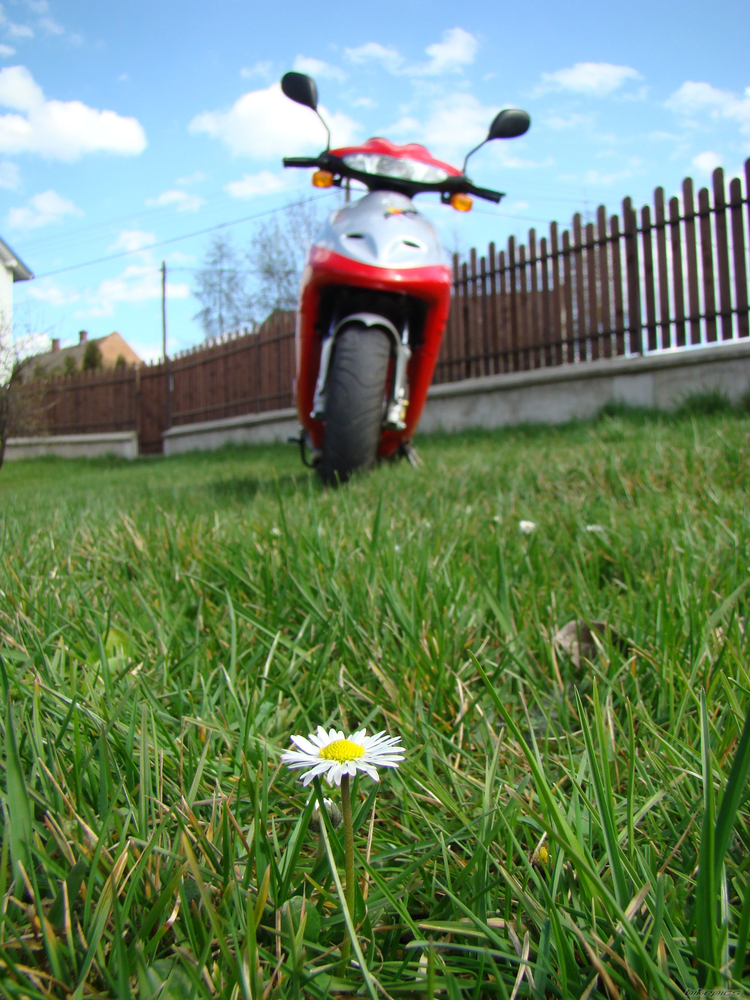 Photo 1248147