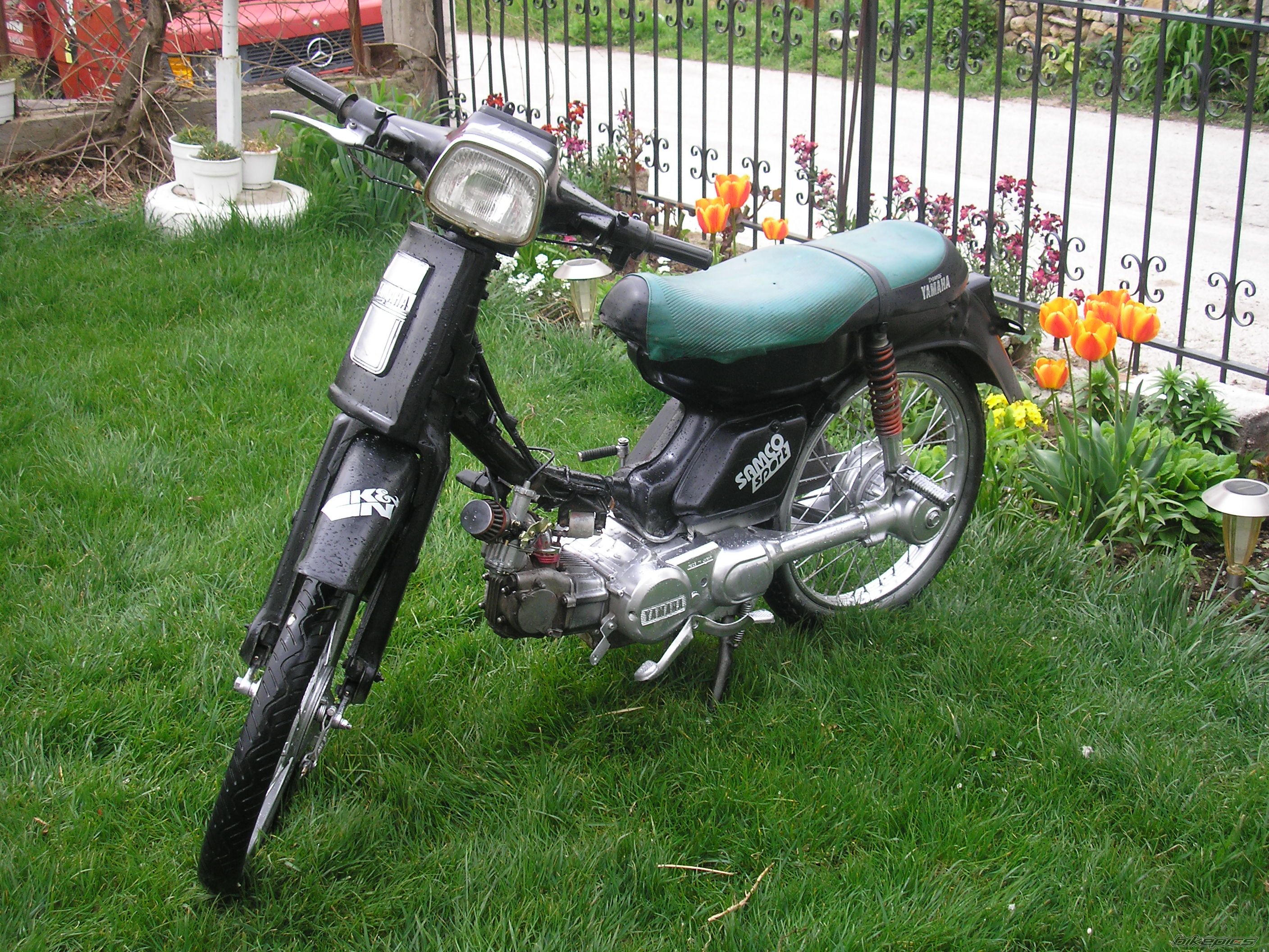 Photo 1250972