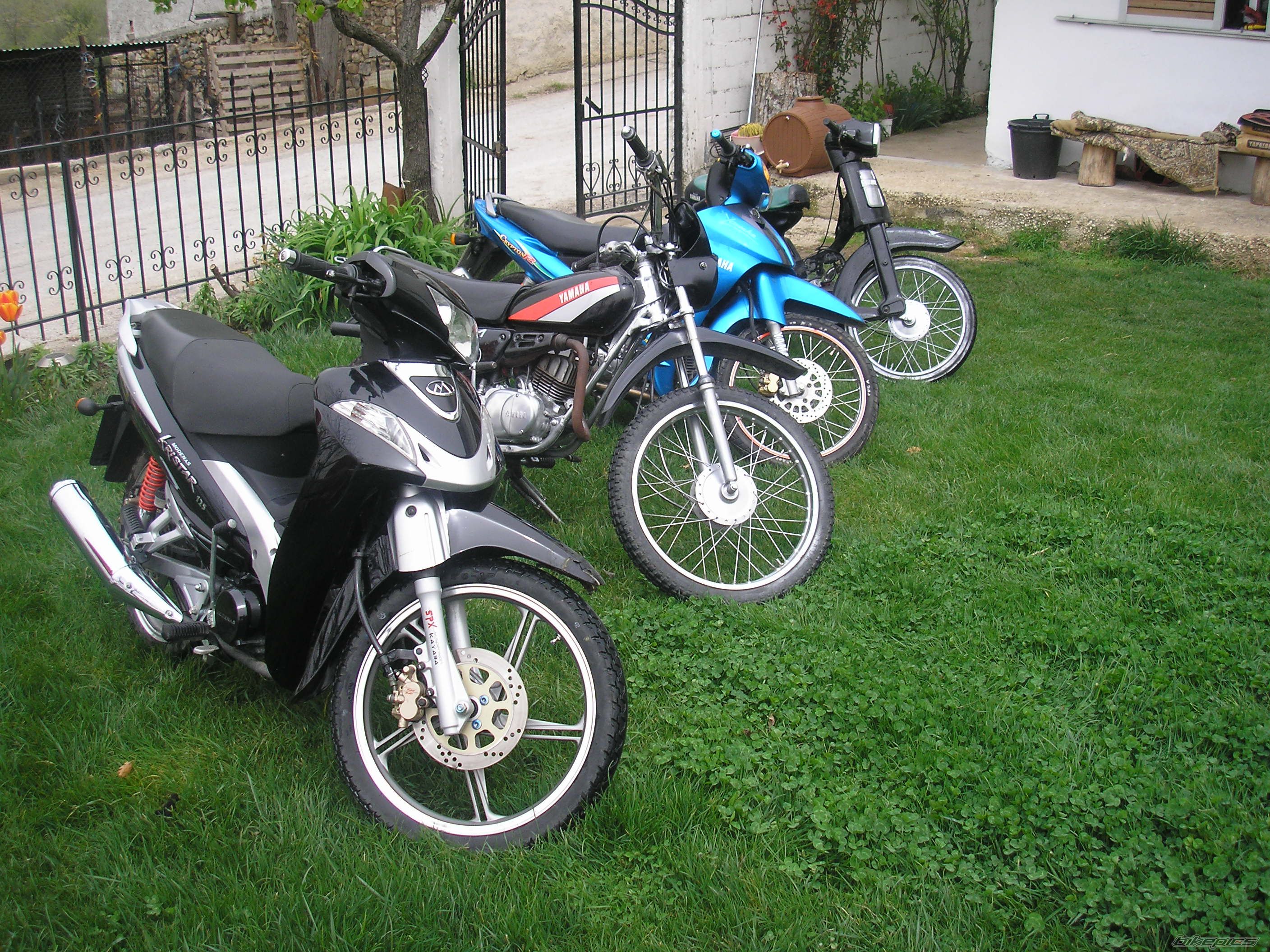 Photo 1251011