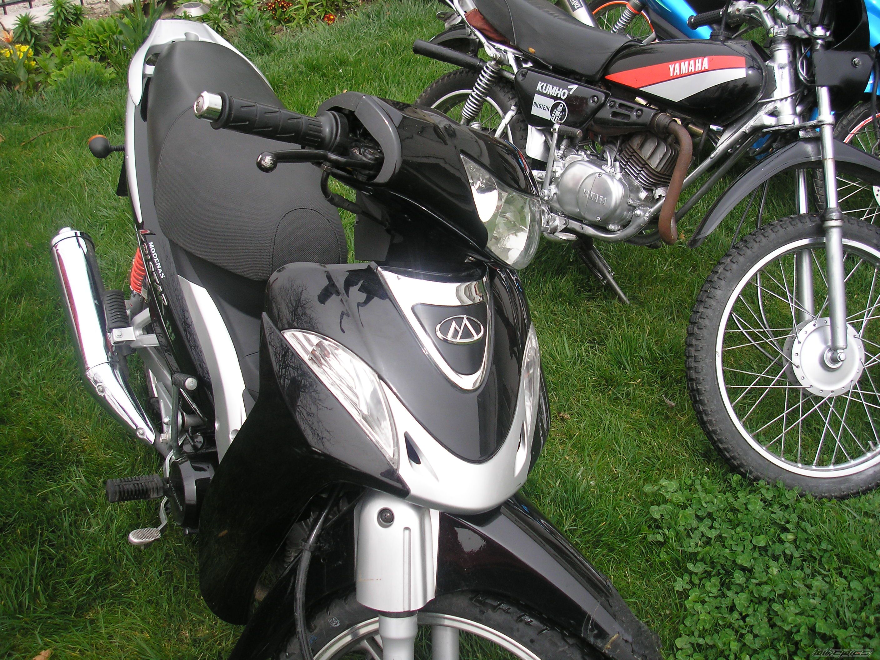 Photo 1251022